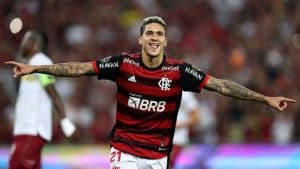 Tottenham tient a lattaquant de Flamengo Pedro